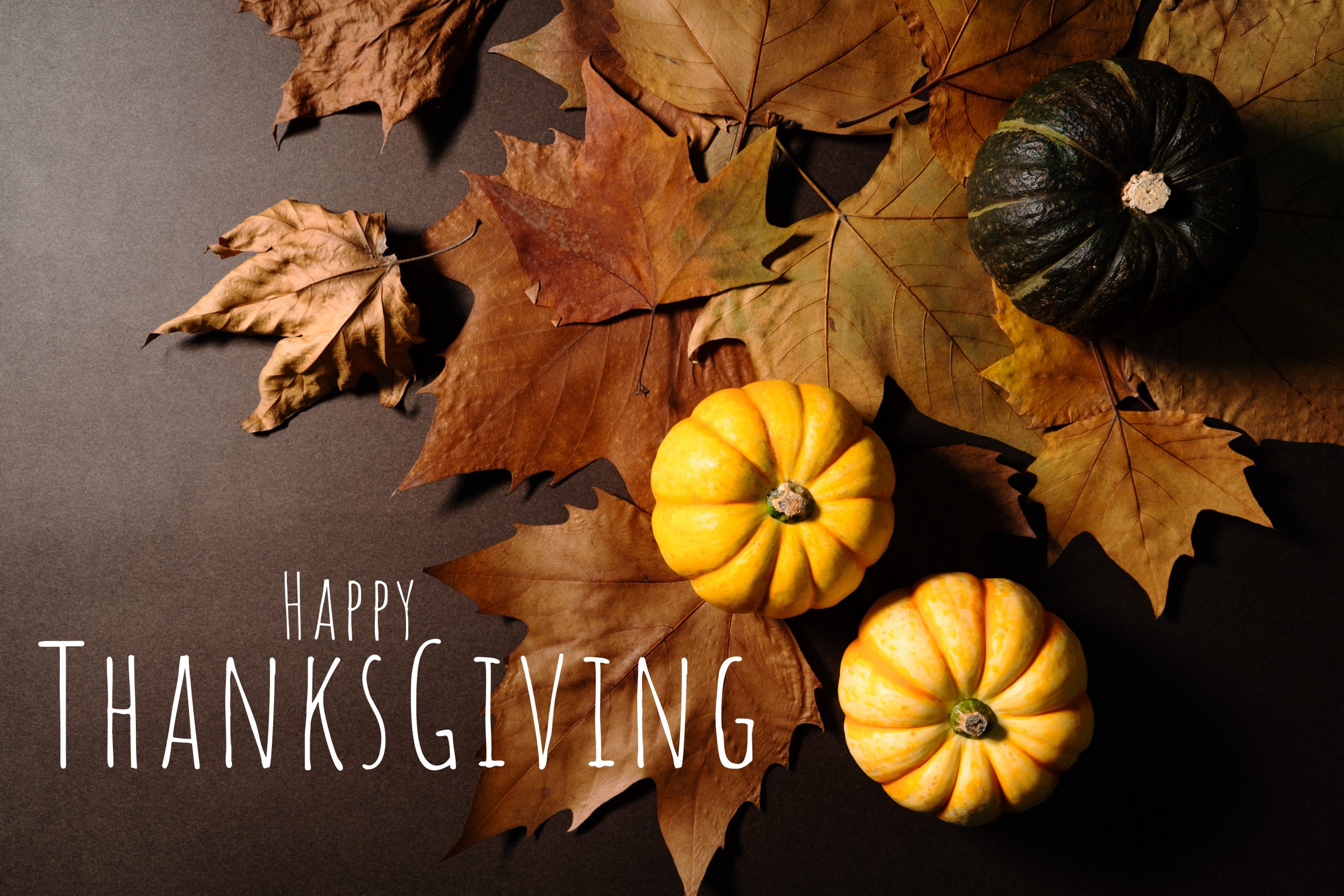 happy-thanksgiving-money-tree-closed-thursday-returning-friday